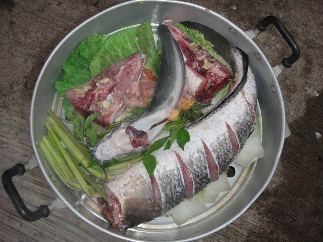 เมนูวันนี้ ปลานึ่ง  ปลาดุกในตู้เย็นเห็นเครื่องปรุงทนไม่ได้ ขอนอนในซึ้งด้วยคน จัดให้ ซาวน่าสมุนไพร