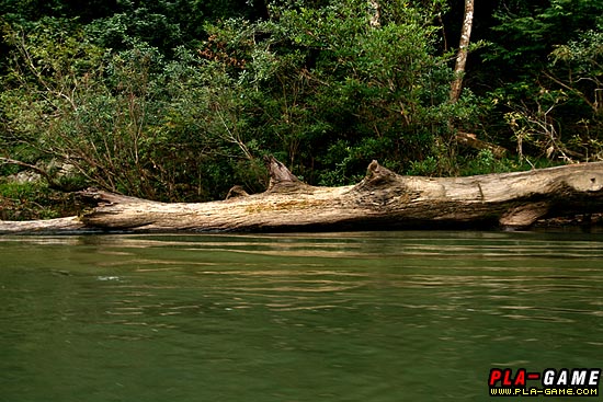 กว่าหัวเรือหลุดออกจากโขดหินได้แทบจะสายไปท้ายเรือเกือบจะขวางกระแสน้ำเต็ม ลำเรือแล้ว  
พี่ทิดลากผมไปน