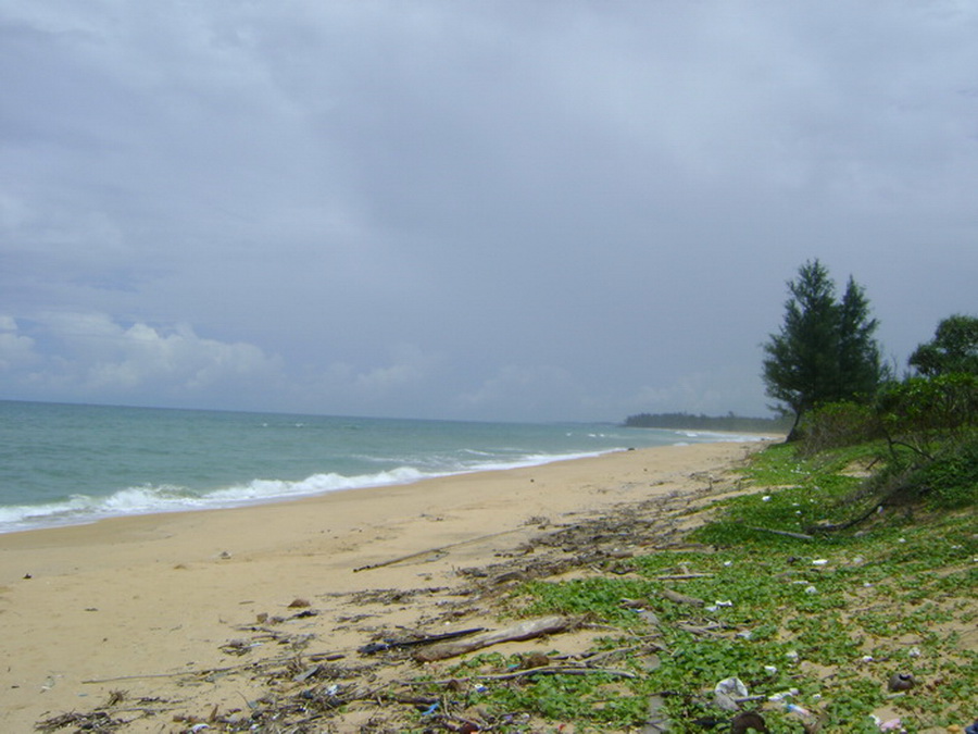 สภาพแนวชายหาด
