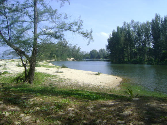 มีที่เด็ดสำหรับคอหวดเหยื่อปลอมด้วยครับหมายนี้ ด้านหลังแนวชายหาดที่จุดตกปลา จะเป็นบึงน้ำกร่อย สภาพหมา