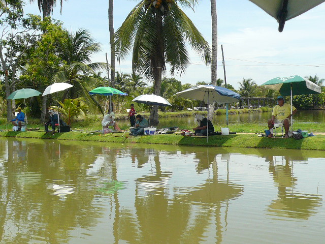 ทิศตะวันตก(หัวบ่อ)เต็ม.........โดยเฉพาะคนขวาสุดต้องเก็บค่าตกเป็น2เท่า(ล้อเล่นนะคุณช้าง) :smile: :lov