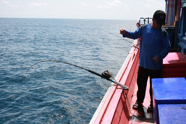   คันรอกไฟฟ้าอีกชุดของโปรเบิร์ด นักตกปลาชาวมาเลเซีย ซึ่งเป็นไกด์ตกปลาชาวมาเลเซียคอยจัดคิวแขกจากมาเลเ