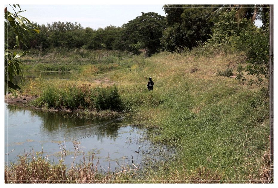 ขอบคุณครับ น้าwonlopfishing 

น้าชายครับ ตีแบบไม่ยั้ง .โชว์..กำลังยังเหลือ.มาบ้านแฟนทั้งที. :laugh