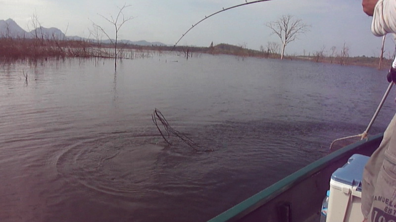 ภาพจาก วิดีโอ จึงได้เห็นว่า มีสวะกิ่งไม้ ที่ปลามันมุดลงไป แต่เราสามารถอัดปลาขึ้นมาได้ 
คันเบท ราคาไ
