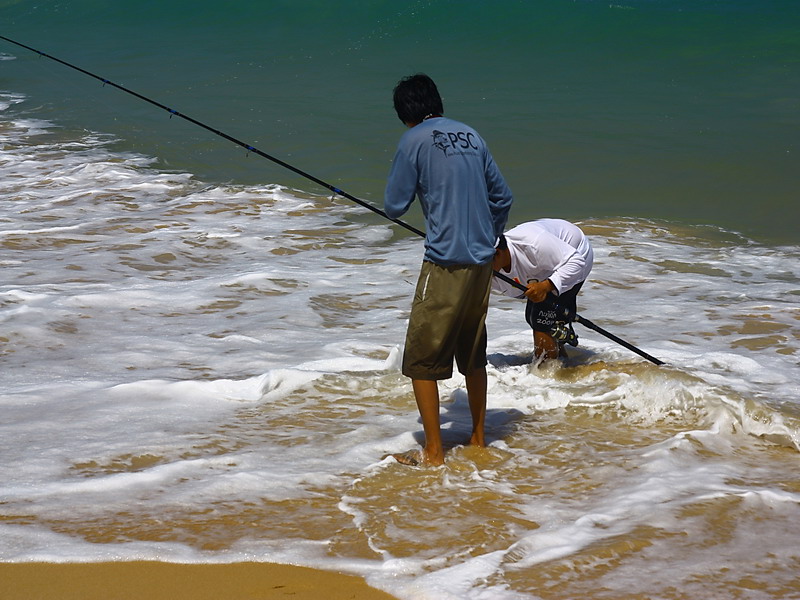  [b]การนำปลาขึ้นจากน้ำ ถ้าเป็นปลาใหญ่ควรจับปลาในน้ำตื้นๆ อย่าลากขึ้นมาบนทรายโดยตรงเพราะปลาจะหลุดไปเส