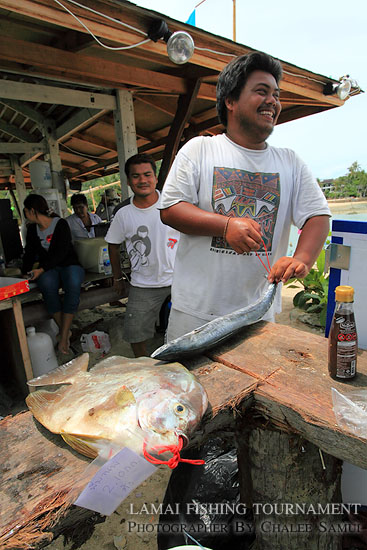 ปลาด้ง ปลากระด้ง"ของชาวหมุย หรือปลาหูช้างของนักตกปลาทั่วไป
แกงส้มแกงเหลืองอร่อยอย่างเหลือเชื่อ ตัว