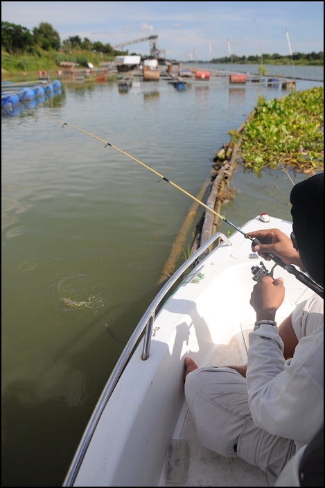 มาอีกแล้ว...สงสัยกุ้งมันมีอยู่เฉพาะหัวเรือรึไง เครียดว้อยยยยยย  :smile: