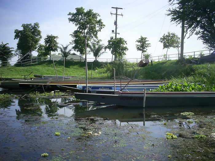 เอ ทำไมเรือจอดเต็มไปหมด ไม่มีใครออกหากินเลยรึนี่