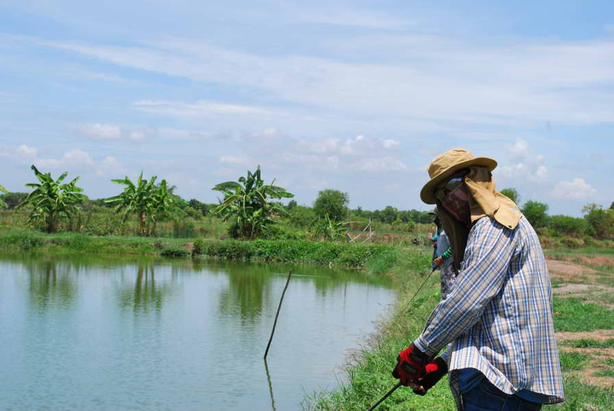 น้าคมเนตรเดินทางไกลมามาให้เชือดคร