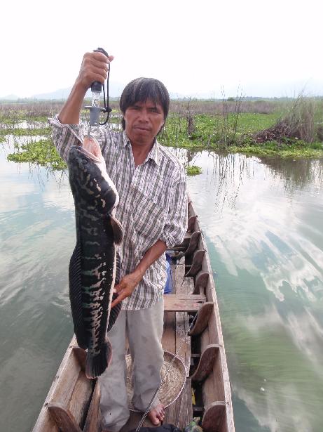 ไต๋โด่งขอหลอด้วยโคนนนนนน


ขอบคุณครับน้า Big_Fish :grin: