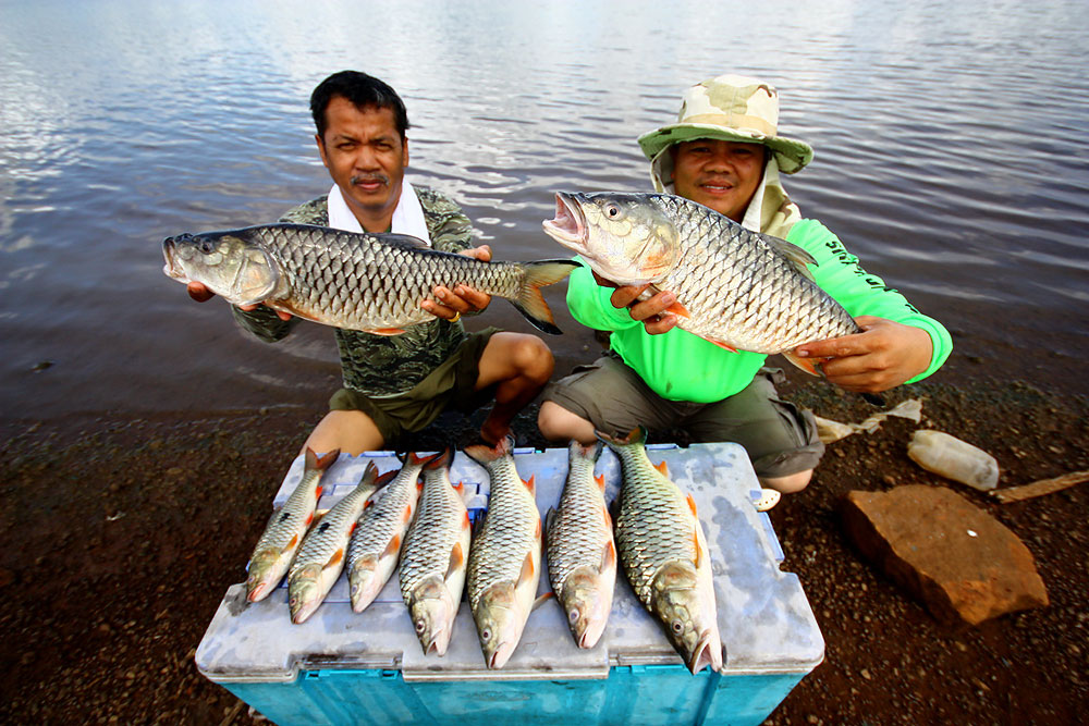 สามชั่วโมงได้มาแค่นี้เองครับ
ตัวที่หลุดไม่นับ
 :cool: