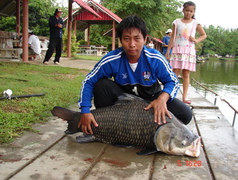 +++ เสียดายไม่โดนของใหญ่นะครับผมไปต้