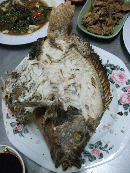 พระเอก ของงานนี้

ปลานิลย่างเกลือ โดยเชฟไก่ 

 :cheer: :cheer: