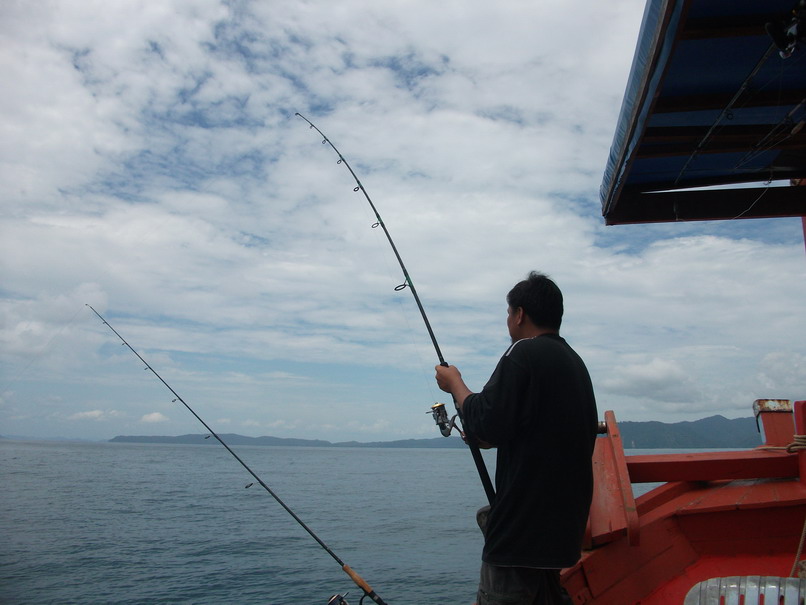 โกฮ้วง เห็นปลาขึ้นเลยลองป๊อปดู ปลาเจ้ากรรมดันมากัดเหยื่อข้างเรือทำเอาสดุ้ง กัดแล้ววิ่งปรู๊ดยาวออกไปป