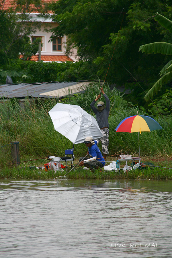 ทุกคนปรับตัวปรับทุ่นใหม่ให้เข้ากั