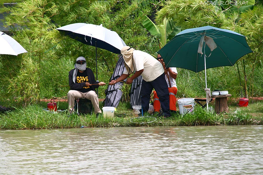 โดนบ้างนิ่งบ้างว่ากันไปตามพื้นที่