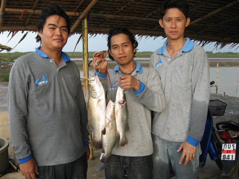 กลุ่มต่อมาก้อ กลุ่มของ น้าบิ๊กปลายาง น้าโข่งปลายาง น้าโต้งปลายาง คร๊าบ (ซ้ายสุดเดี้ยง อิอิ)
:cool: 