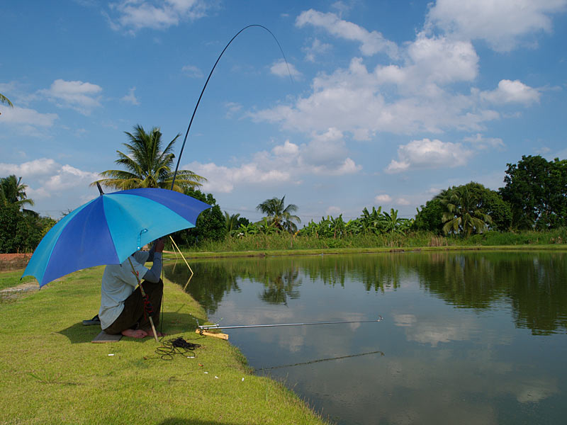 หวัดดีครับ น้าป๊อก ใช่ครับ ต้องไปลองดูเองครับ น้า  :grin: :grin: :grin:
หวัดดีครับ น้า KK FISHING ต