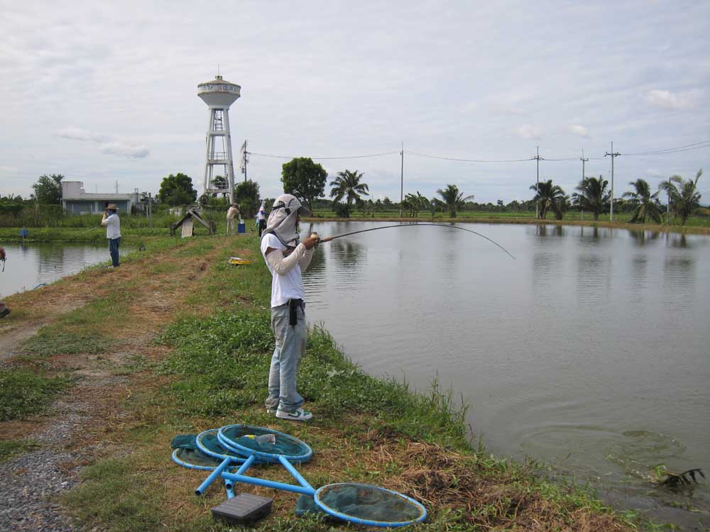 


ตก.....ชะโด....อยู่....เห็น...กระพง....กินดี..จัด.....ลอง...ตี...ดูมั้งจิ....



โดน....ใน