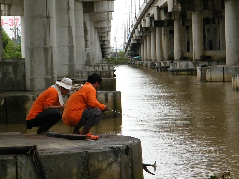 เนื่องจาก เรือที่จองไว้อีกลำ เครื่องเสีย...งานเข้าซิทีนี้....รวมหัวกันจะไปไหนดี...ตกปลานิล...ตีกระพง