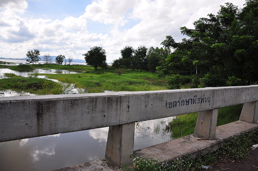 นี่คือสะพานแรกที่เมื่อกี้มองเห็นจากทางเรือครับ ตรงนี้ที่ราวสะพานเขียนไว้อย่างชัดเจนเลยครับว่าเขตอนุร