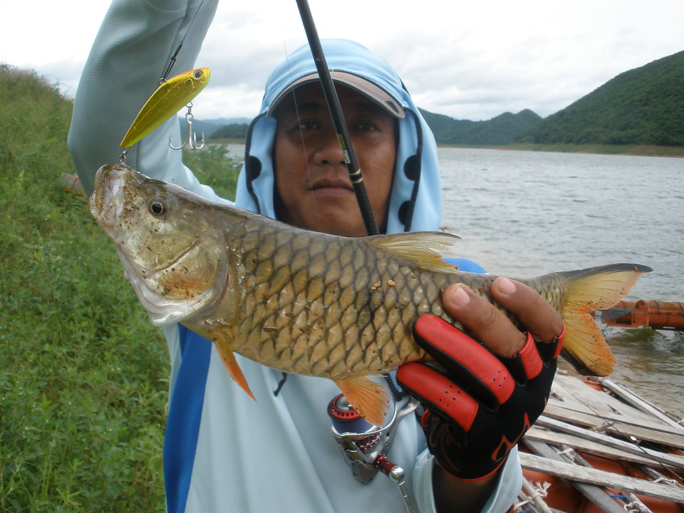 พี่กบ  โดนไปก่อน  สปูนพี่กบบอกไม่แนว  เล่นซะไฮโซเลย :grin: :grin: