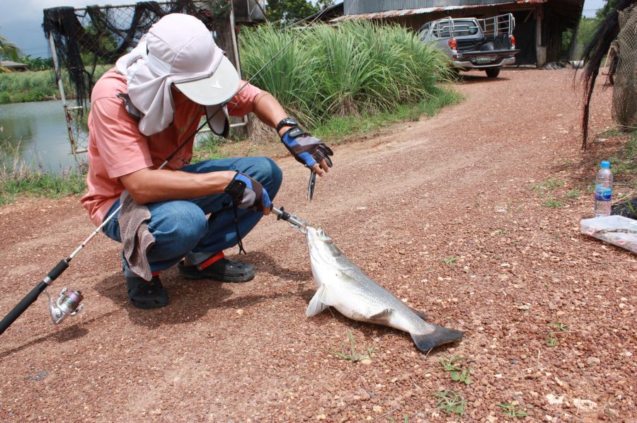 ปลดเอาเลยครับ :laughing: :laughing: :laughing: