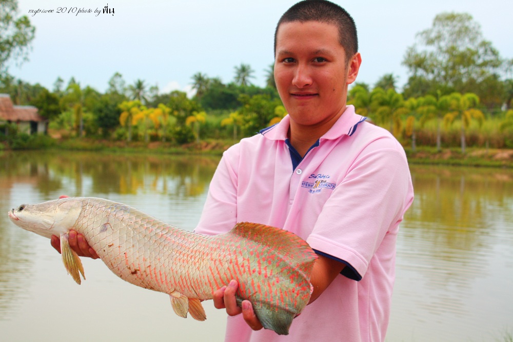 ปิดท้ายทริปแรกด้วยช่อนอเมซอนตัวแรกในชิวิตหลังจากพยามมาหลายทริป :grin: :grin:


เรืองต่อไปค้างไว้ก