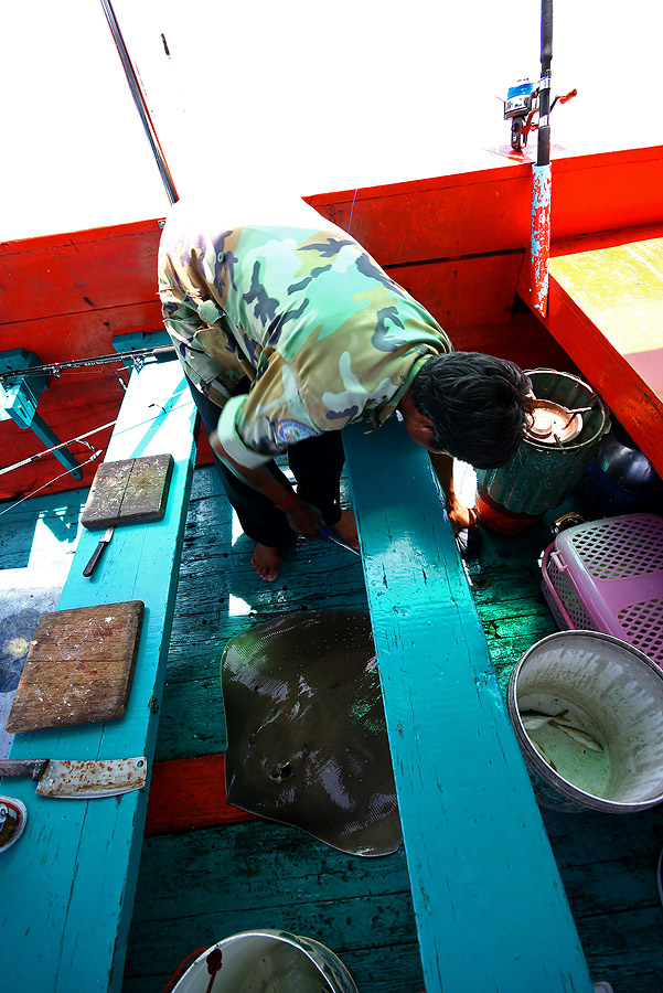 
 [b]  ขึ้นมานอน  บนพื้นเรือแล้ว

  ไต๋รีบหักเงี่ยงซะก่อน  เดี๋ยวพลาดพลั้งไป  ได้ไปหา  สตีฟ  เออร