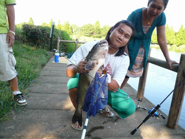   ปรากฎว่าเป็น  [url='http://en.wikipedia.org/wiki/Channel_catfish']ปลาดุกอเมริกา[/url]( [url='ht