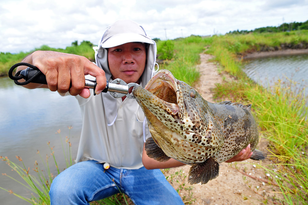 นานๆ มาที ก็มัน ดีเหมือนกันนะ  ไซด์แบบนี้  :grin: :grin: :grin: