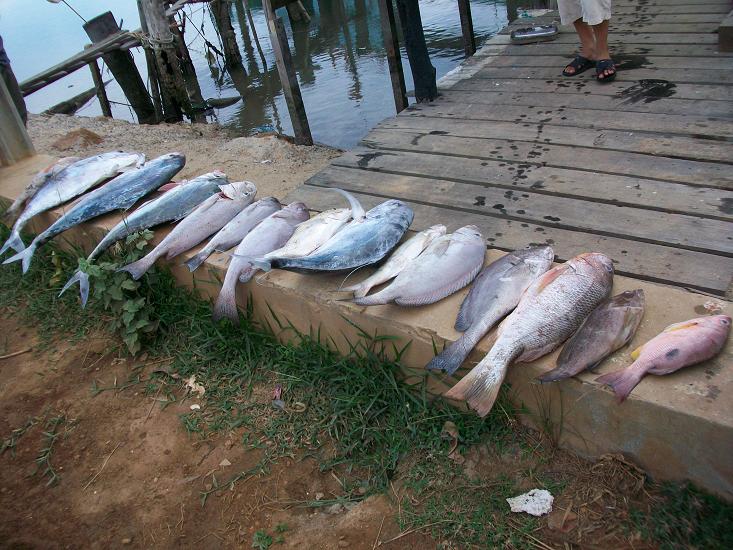 สุดท้ายแล้วครับ ขอบคุณที่ติดตาม.
และต้องขอขอบคุณเรืออำนาจเจริญและไต๋หนึ่งสำหรับประสบการณ์และความปรอ