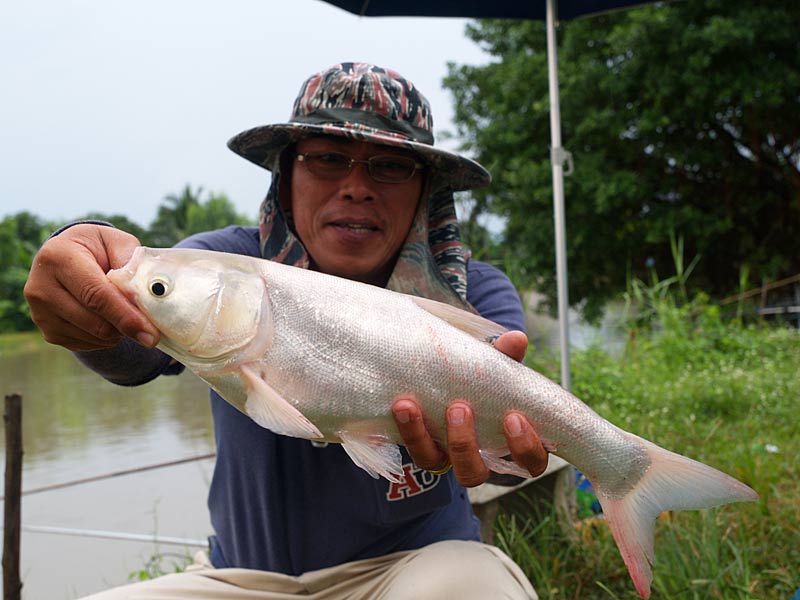 น้าเต่า บอกขออีกภาพ ครับพี่มิตร ตะกี้ไม่เห็นหน้า เอาจัดให้ โดน ผบทบ. จับได้ก็ตอนนี้ล่ะ ขอบคุณครับน้า