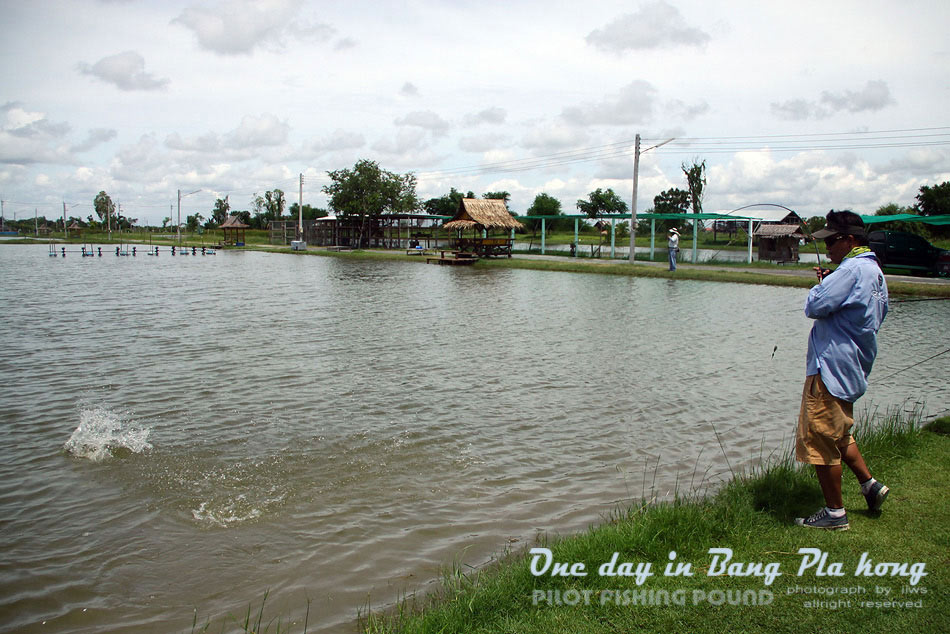 


กระพงตัวนั้นคิดผิดถนัดครับ

สำหรับผมแล้ว ยินยอมที่จะให้สายขาด ตะของ้าง หรือคันหัก มากกว่าจะย