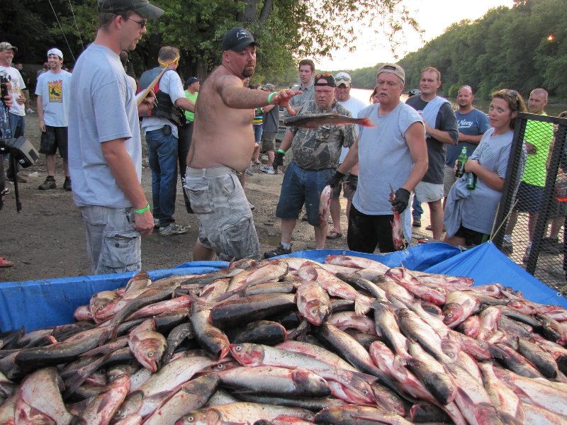 ฝรั่งเค้าเรียกปลากลุ่มนี้ว่า  [b]Asian Carp Fish[/b]

ประกอบด้วย

1. Bighead Carp   :    น่าจะซ่