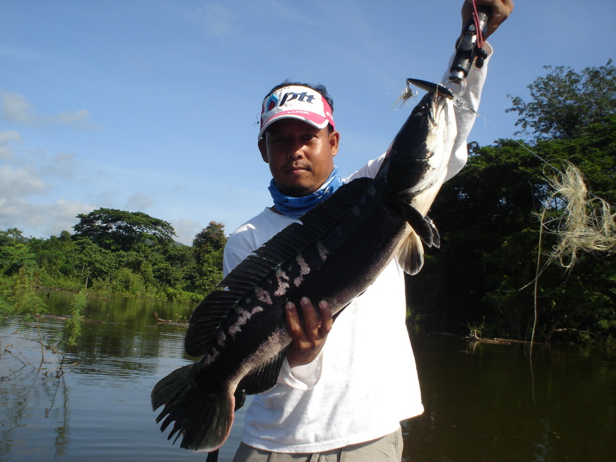  [b]ตัวนี้กัดเหยื่อ  Rapala  CD 9  SSH[/b]