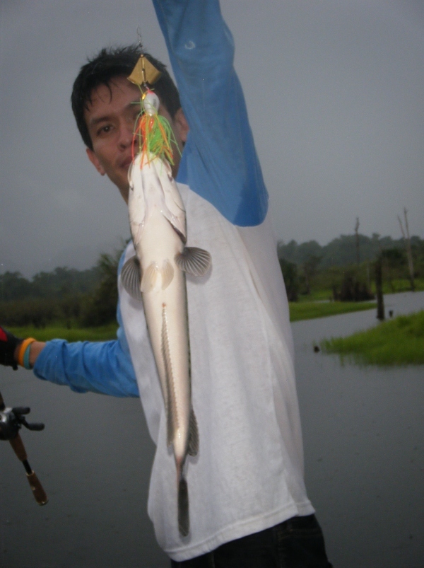 แล้วฝนก็เทมาอย่างหนักถึงหนักมาก
กลัวกล้องจะเปียกก็กลัว แต่ปลาก็กัดบ้าเลือดเลย