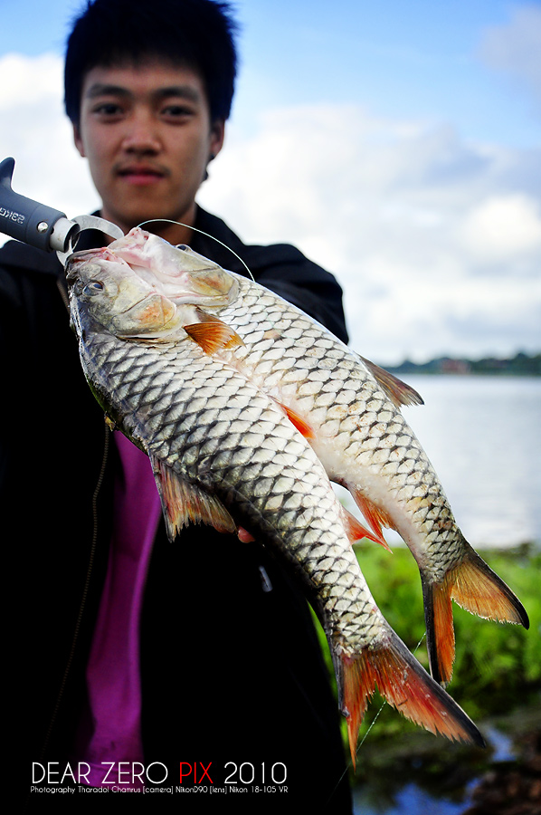 วันนี้ได้สองตัว   ลาป ลาป ลาป  


ขอลากันด้วยภาพนี้สวัสดีครับ   :cheer: