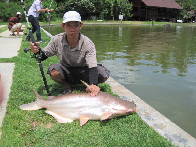 น้าตุ้ยกับปลาบึง
 :flag: :flag: :flag: :flag: :flag: