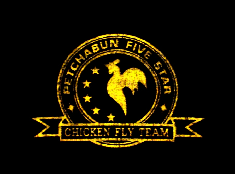   chickenfly team