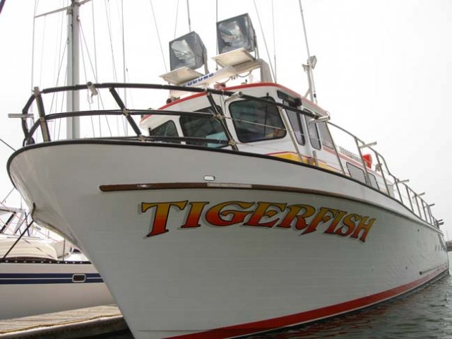 This is the boat
URL is www.tigerfishsportfishing.com