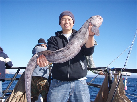Only one Wolf eel that I got on that trip. It was very delicious.