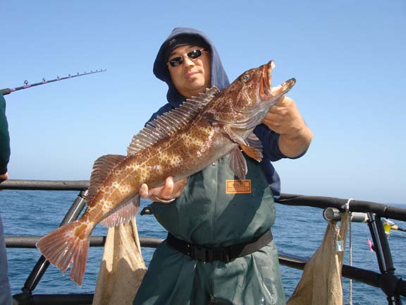 We were 35 people on the boat and 46 Ling cods were caught on that day.