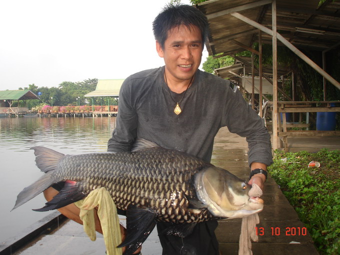 ตัวที่สิบเอ็ด ครับ พี่กบกับน้อง กะโห้ :cheer: :cheer: