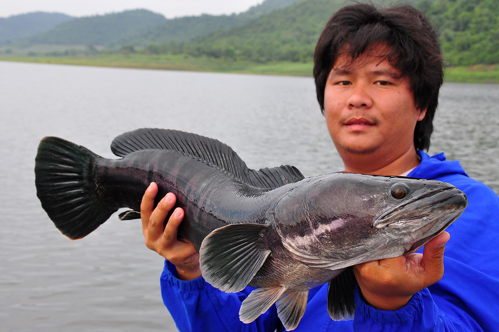 
หล่อเจงๆครับน้าไอซ์     :grin: :grin: :grin: :grin: