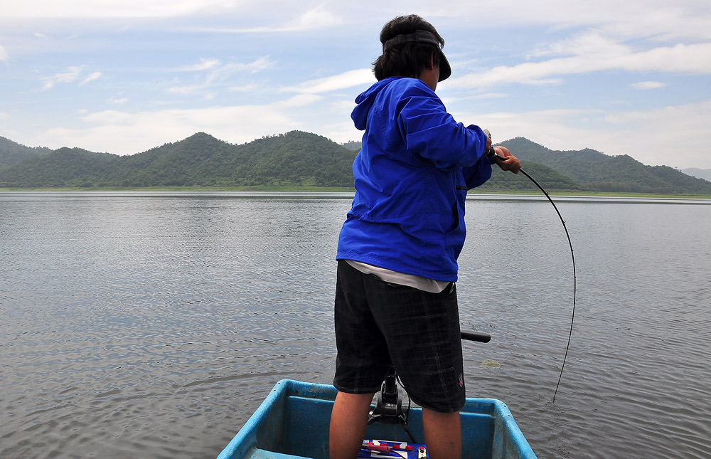 
มุดใต้ท้องเรือ   เข้ากอสาหร่ายอย่า