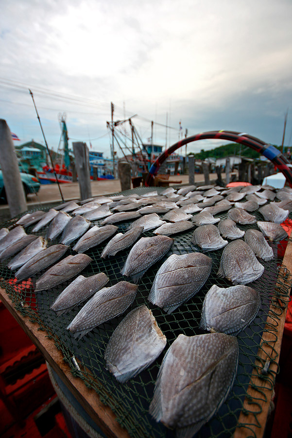 
 [b]   ที่หัวเรือ  ตาพุ่มทำสลิดหินแดดเดียวไว้

  ขอบอก  ว่าเค็ม  มั่กๆ   กัดปลาคำนึง  ต้องตักข้า