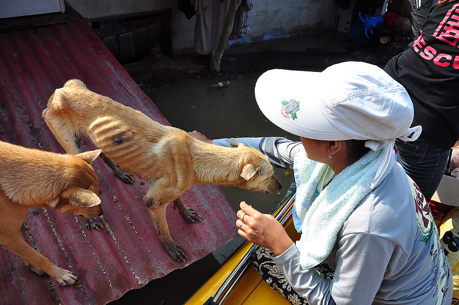 พี่โจ้คลุกข้าวไข่ต้มให้ทันทีเลยครับ :grin: