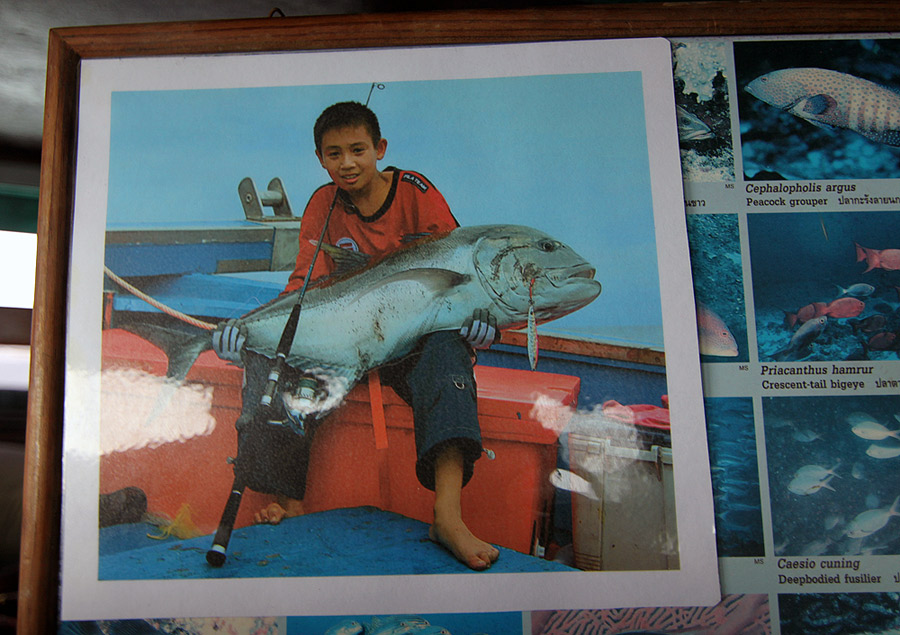 เมื่อลงมาในเรือ ผมพบภาพของลูกชายตนโต ที่มาตกปลากับเรือลำนี้เมื่อ 4-5 ปีที่แล้ว ตอนนั้นเรือลงน้ำครั้ง