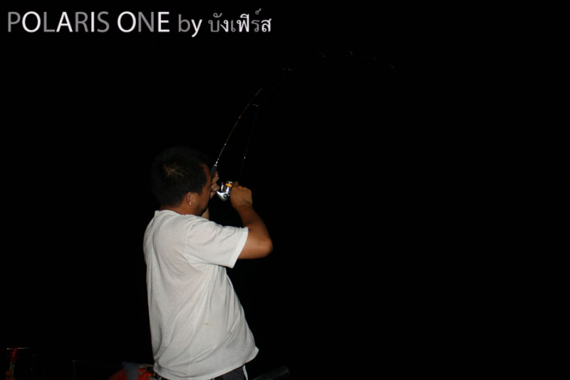 ปล่อยสายเกี่ยวปลาหมึกลงไป20เมตร 2ชุดแรก ปลากัดแล้วขาดหมด :angry: